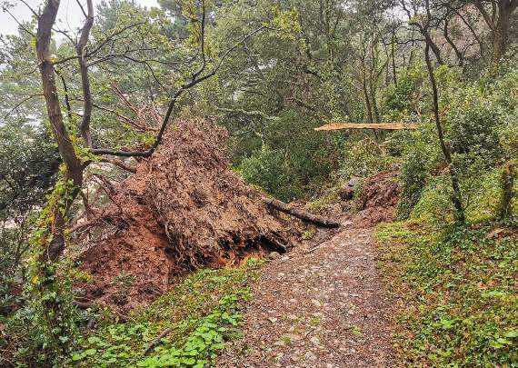 Walkers have been urged to take care (Credit: Nick Mathias/Dartmouth Coastguard)