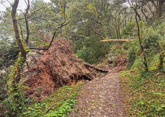 Walkers have been urged to take care (Credit: Nick Mathias/Dartmouth Coastguard)