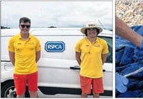 Lifeguards praised for rescuing birds caught in fishing tackle