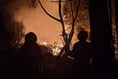 Cost of uncooled bbq's "extremely high" warning after hundreds of firefighters battle woodland blaze
