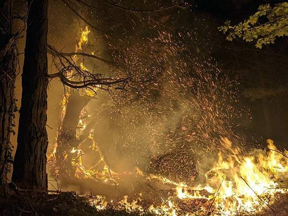 Photo by Buckfastleigh Fire Station