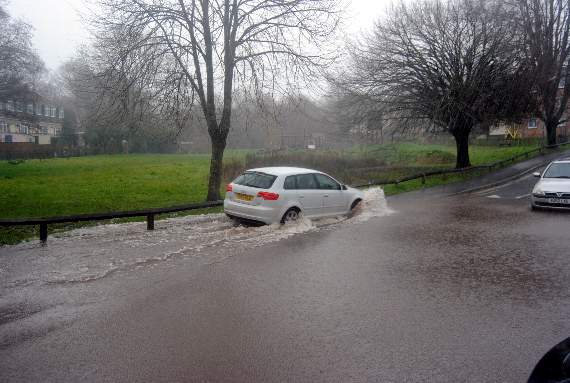 Flooding Meadow Brook