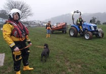 Dog and owner reunited after slippery fall down sheer rock face