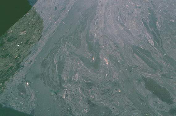 The oily sheen on the water
