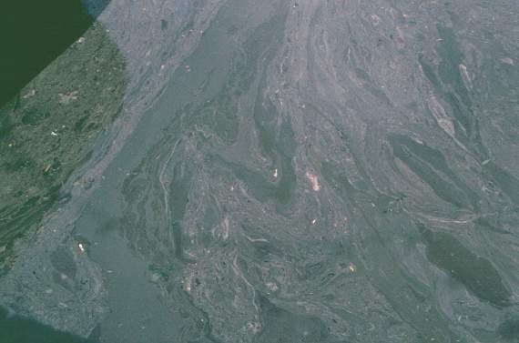 The oily sheen on the water