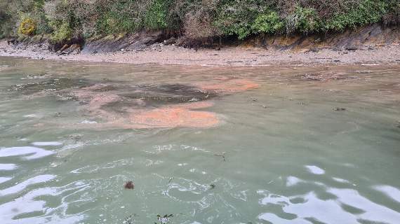 The spillage of red diesel