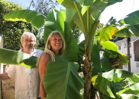 Husband and wife Ken and Christine Weemes with their banana trees