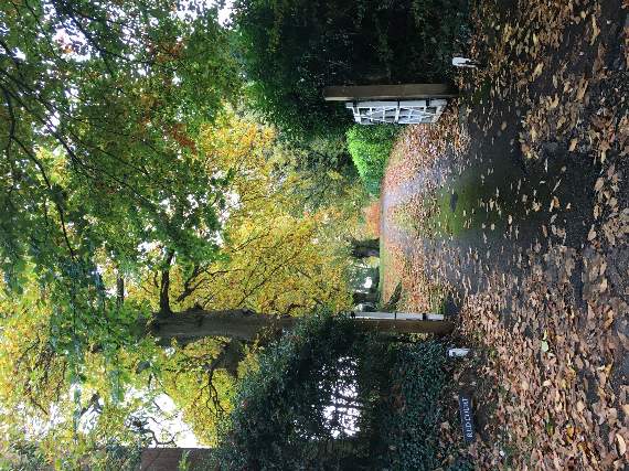 Red Court in Scotland Lane