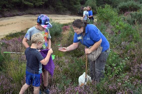 Looking for those creepy-crawlies in the heathland