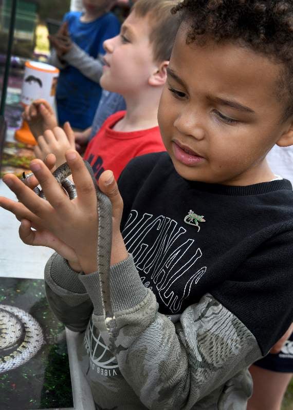 Children got hands on with reptiles