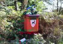 Owners told to take dog poo home as bins binned at National Trust common