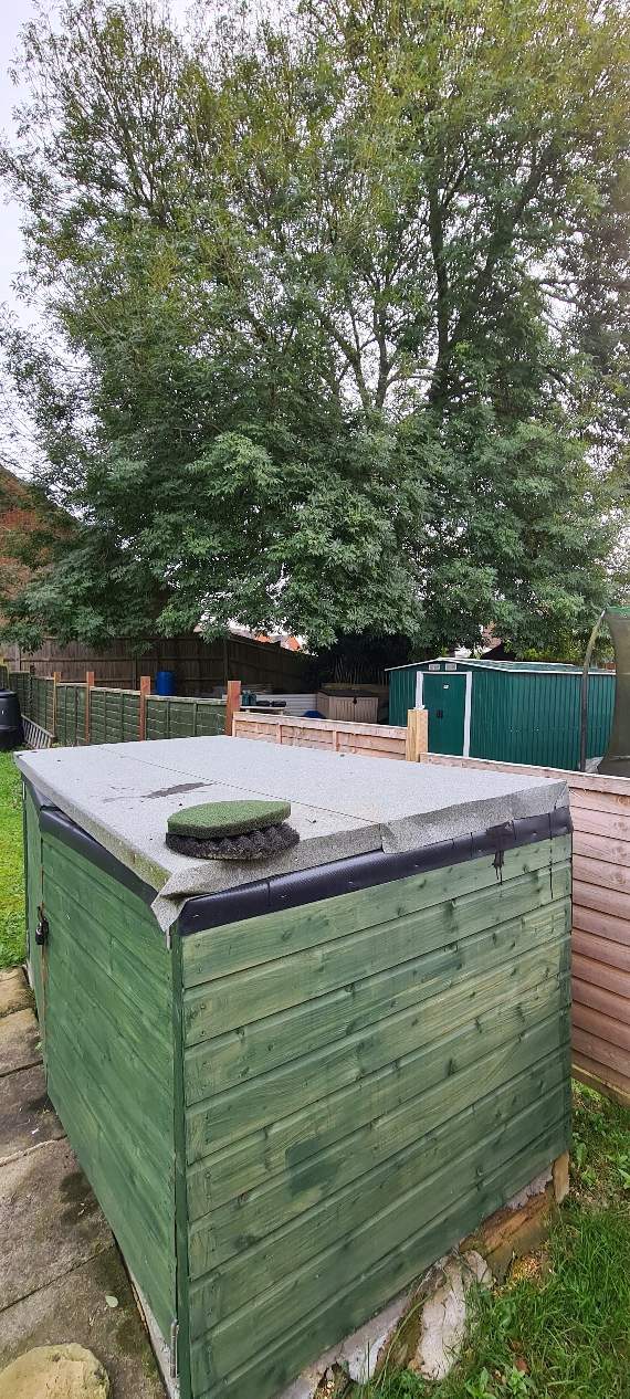 The overhanging tree at Nappers Wood, Fernhurst