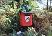 Owners told to take dog poo home as bins binned