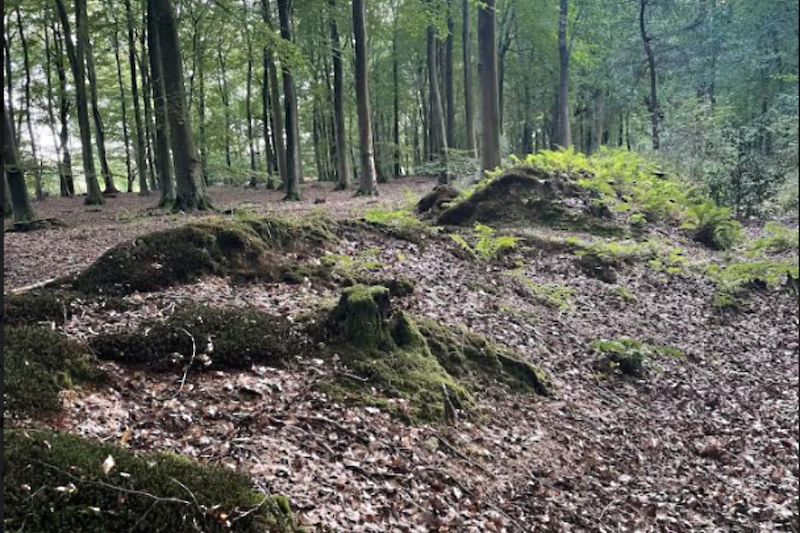 Could deer park derail housing plans?