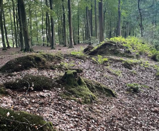 Could deer park derail housing plans?