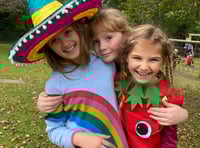 St Ives School holds languages festival