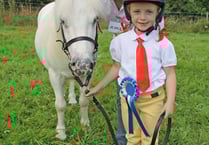 Living it up at the Latchley Show
