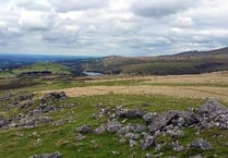 Why does Dartmoor have a Local Plan?