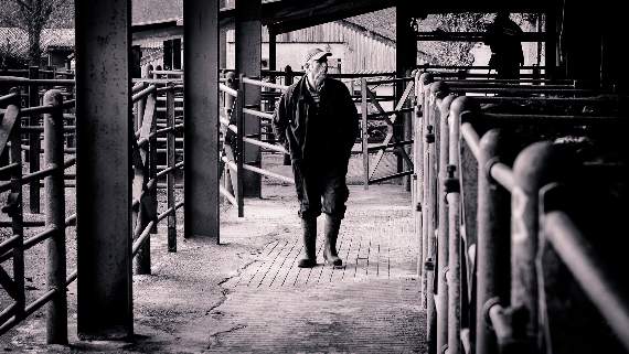 Pictures by Mick Burke