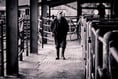 Gavel has fallen on Hatherleigh Market's livestock auctions for last time