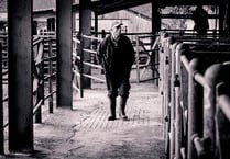 Gavel has fallen on Hatherleigh Market's livestock auctions for last time