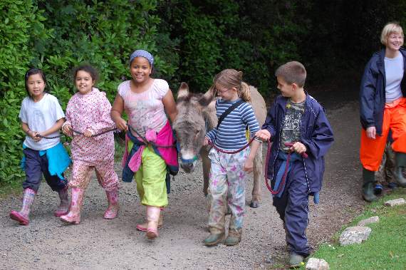 Leading the donkeys at Nethercott House, Farms for City Children's base in Iddesleigh.
