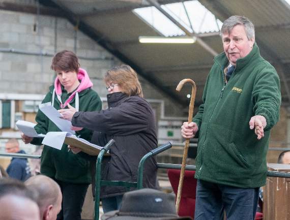 Some of the last auctions at Hatherleigh Market, pictured by Mick Burke.