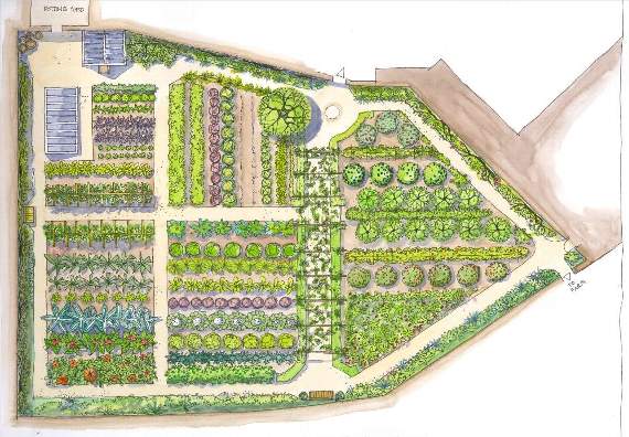 Artist's impression of the garden by Sally O'Neill