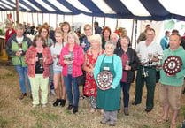 Latchley, Chilsworthy and Cox Park Horticultural Show a big hit