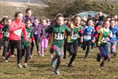 Cool cross country for Tavistock area runners