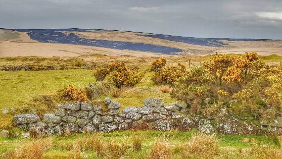 The expanse of burnt out moor in the distance near Princetown. Picture by James Bird.