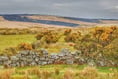 Police treating huge Dartmoor fire as possible case of arson
