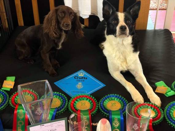 Blink and Style with their Crufts prizes.