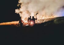 Tavistock Fire Station called to first grass fire of 2019