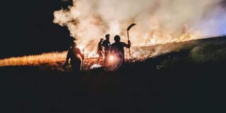 Tavistock Fire Station called to first grass fire of 2019