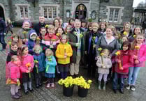 Tavistock BID's 'Paint the Town' day a big success