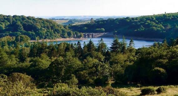 Stephanie Holman's 'What a View' at Burrator.