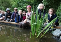 Whitchurch school cultivates new species around its pond