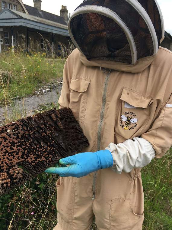 Dale Wood with one of the honeycombs