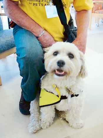 Pets as Therapy dog Leo who helps brighten up the day for patients at the South Pembs. Hospital.