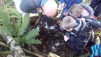 Darwin Experience expert Marten helps pupils examine the habitat.