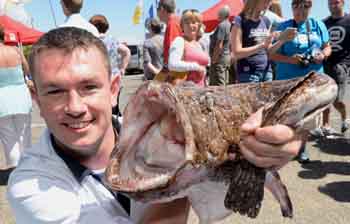 Filleting demonstration with Nick Bryan (fish at 85) seen here with a large monkfish