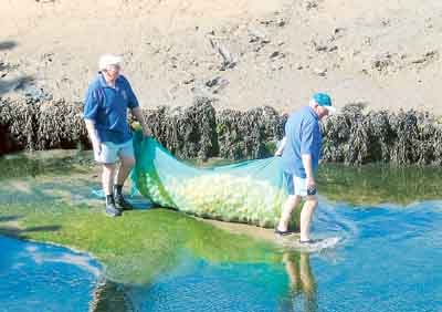 Duck race season  off to a flying start