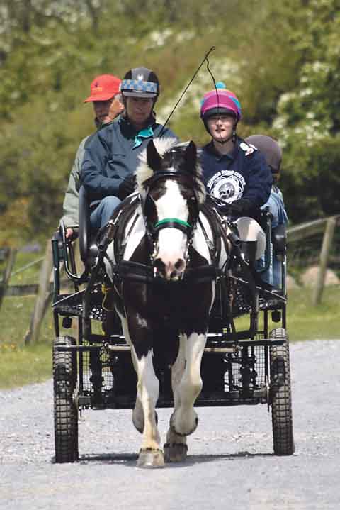 Carys Howell taking the reins.