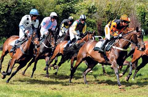 The Jockey Club Open Maiden Race for Mares and Fillies. Pics. Alun Sedgmore, Sporting Prints