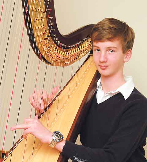 Tudor harp sales