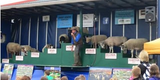 Pembrokeshire County Show, August 16, 17, 18, preview