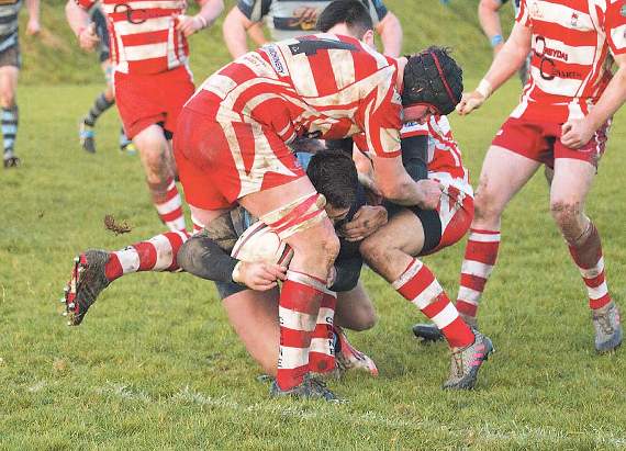 Ollie Reyland brought down with touching distance of the try line. Pic. Elwyn Davies