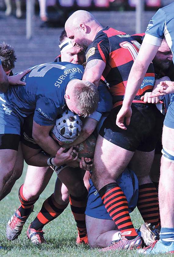 Rugby tights shorts hot sale