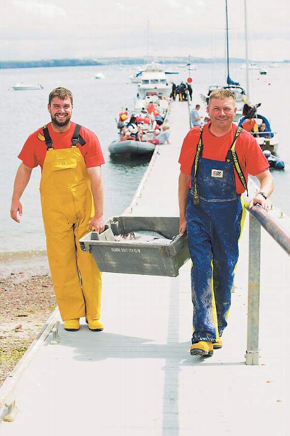 Bringing in the catch at Dale.